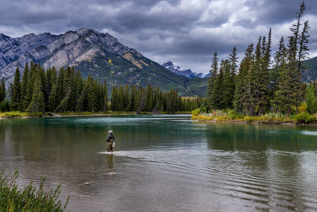 Pêche du bar rayé au Canada