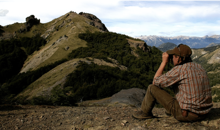 Chasse du cerf en Argentine