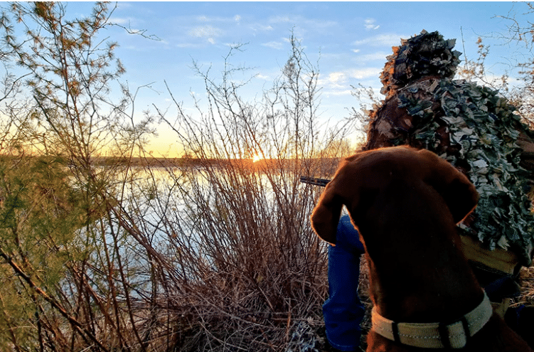 chasse au petit gibier en Afrique du Sud