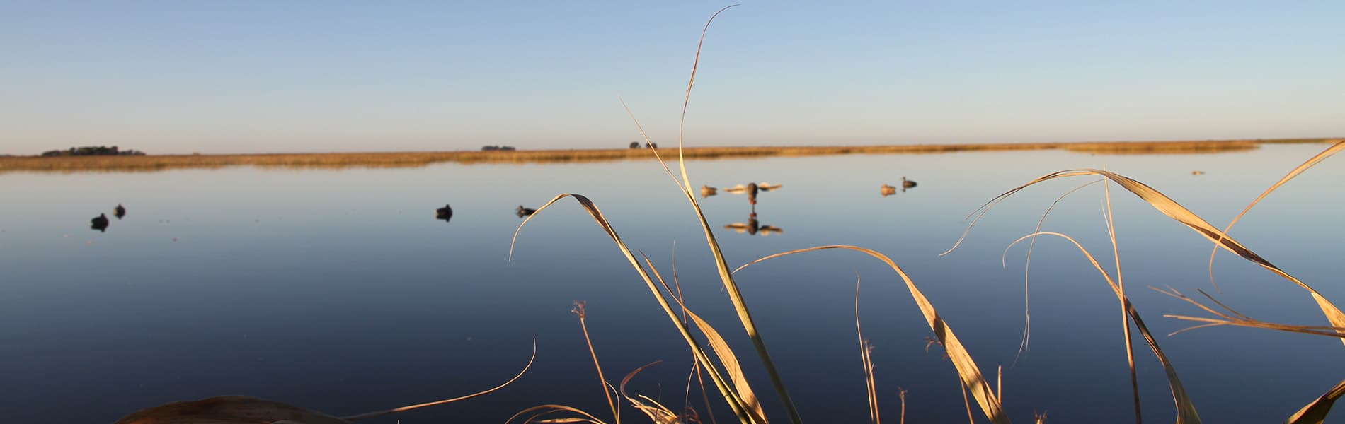 Image du slider