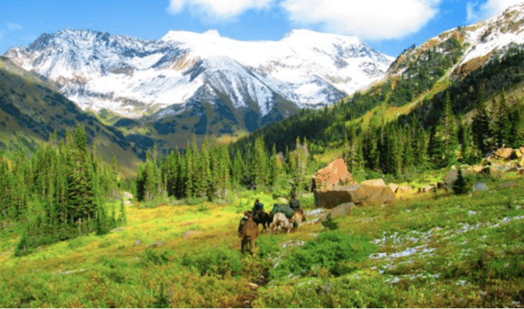 Chasse au Canada