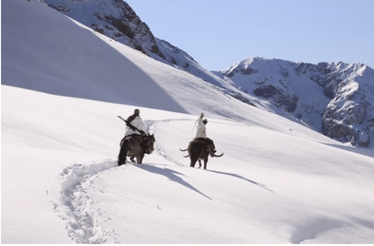 chasse du Marco Polo au Kirghizistan