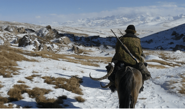 Chasse de l'ibex de Sibérie au Kirghizistan