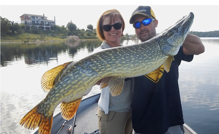Pêche au brochet en Espagne
