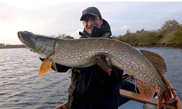 Pêche du brochet en Irlande