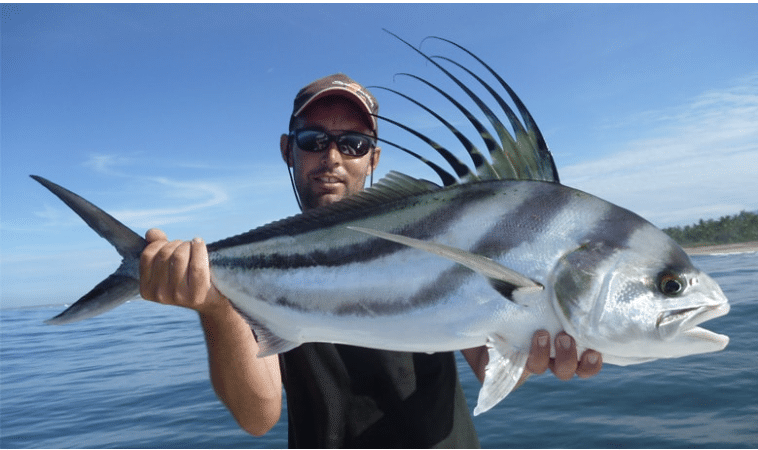 Pêche du poisson coq au Mexique