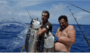 RODRIGUES | PARADIS DE LA MULTI-PECHE