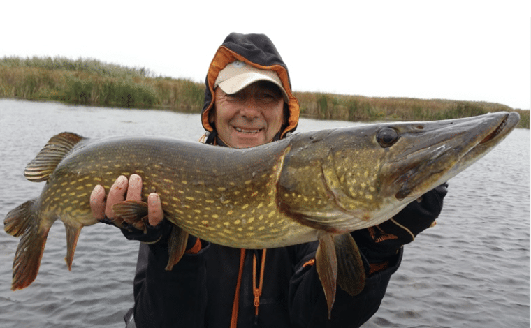 Roumanie : Pêche du brochet dans le Danube