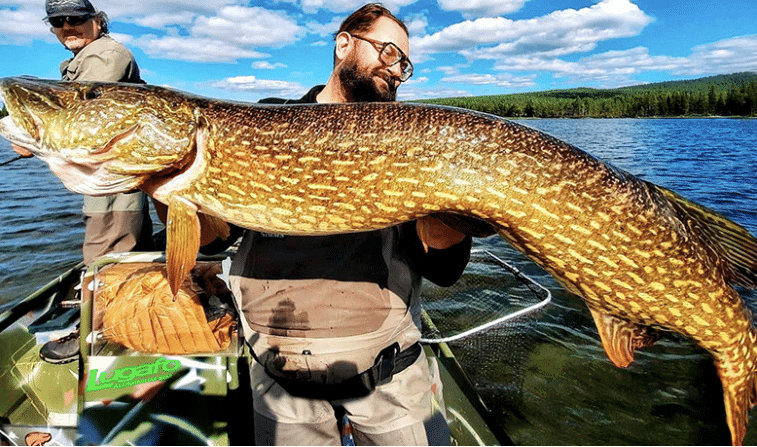 SUÈDE | Le Wild Lake Lodge, un paradis du brochet