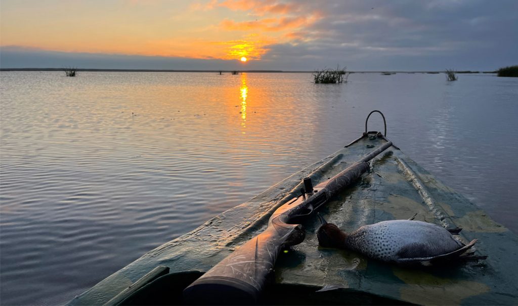 Chasse sur le delta de la Volga