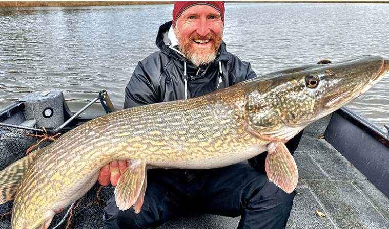 Pêche brochet Suède Lac Sibbo