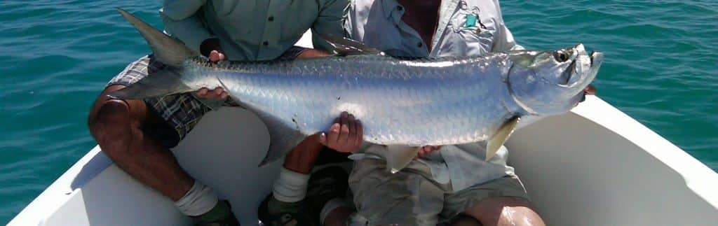 voyage de pêche à los roques