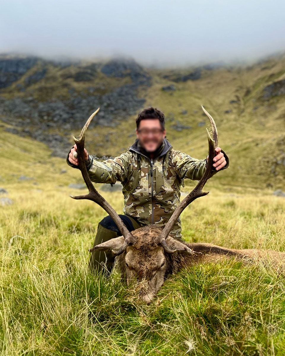 cerf-ecosse3