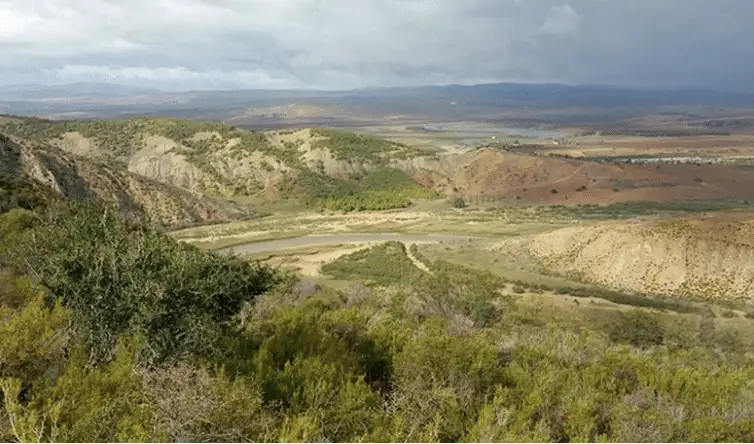 Chasse du sanglier en Tunisie