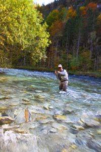 pêche à la mouche en Bavière