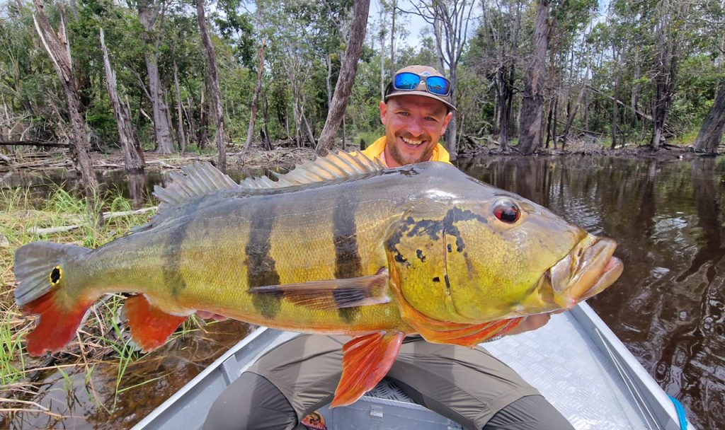Carnassiers d’Amazonie