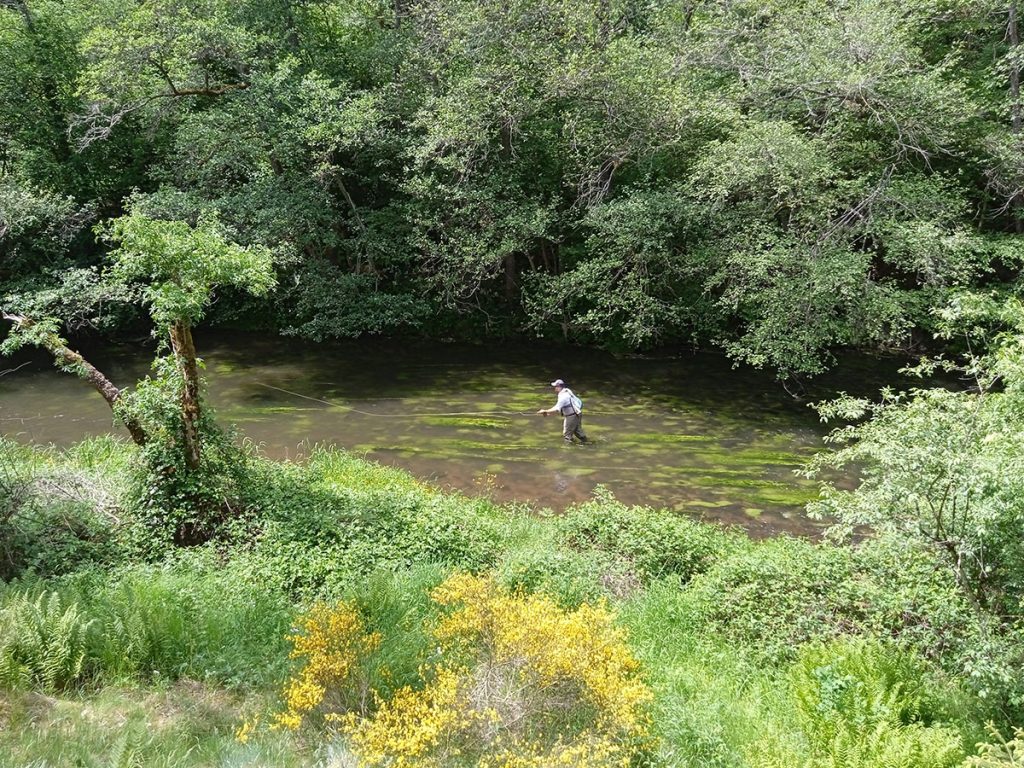 pêche à la mouche en Auvergne