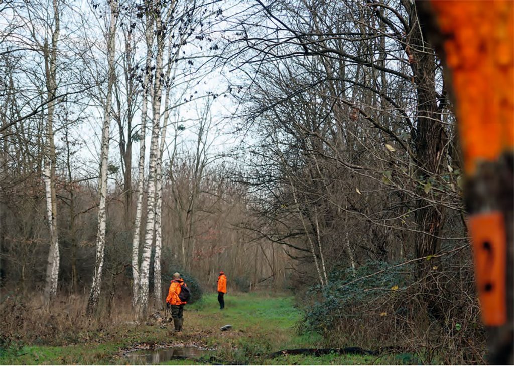 Chasse du grand gibier en Hongrie