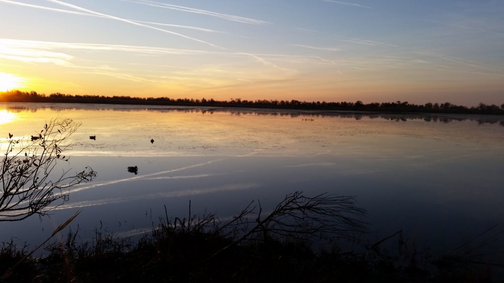chasse du gibier d'eau en Camargue