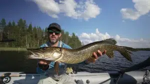 Voyage et séjours de pêche du brochet en Suède