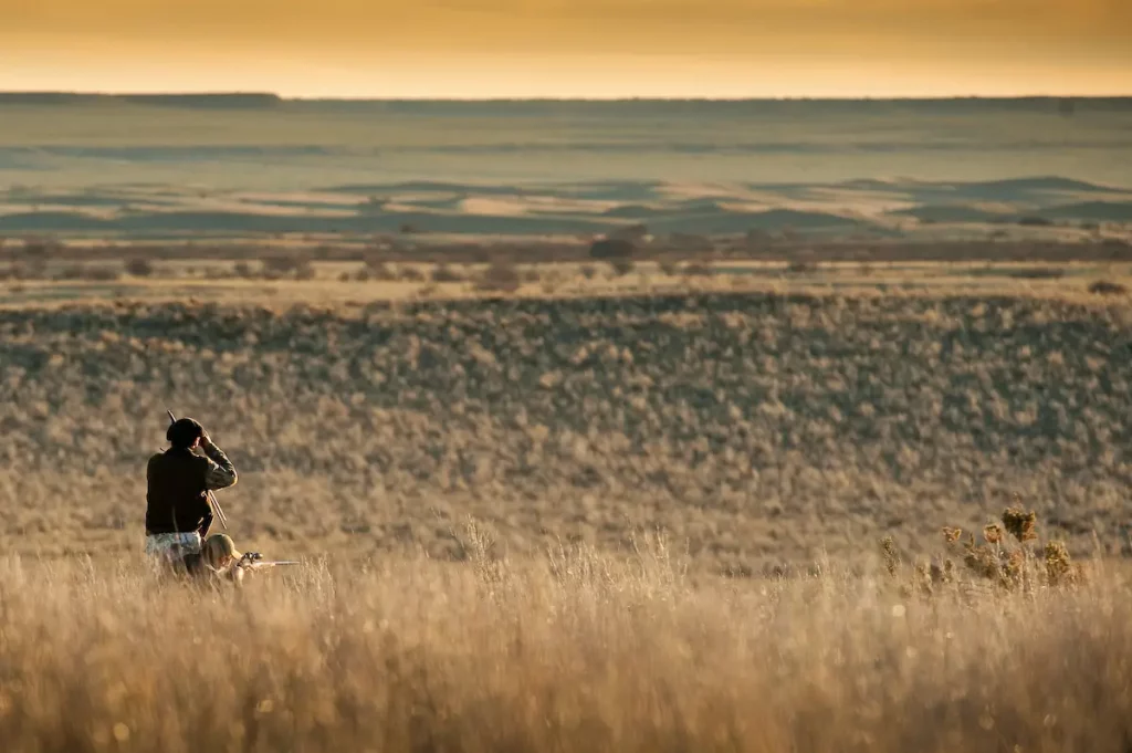 chasse du petit et du grand gibier en Argentine