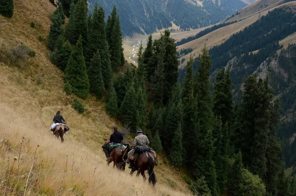 Chasse du Cerf Maral au Kazakhstan