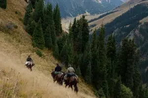 Chasse du Cerf Maral au Kazakhstan