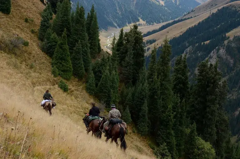 Chasse du Cerf Maral au Kazakhstan