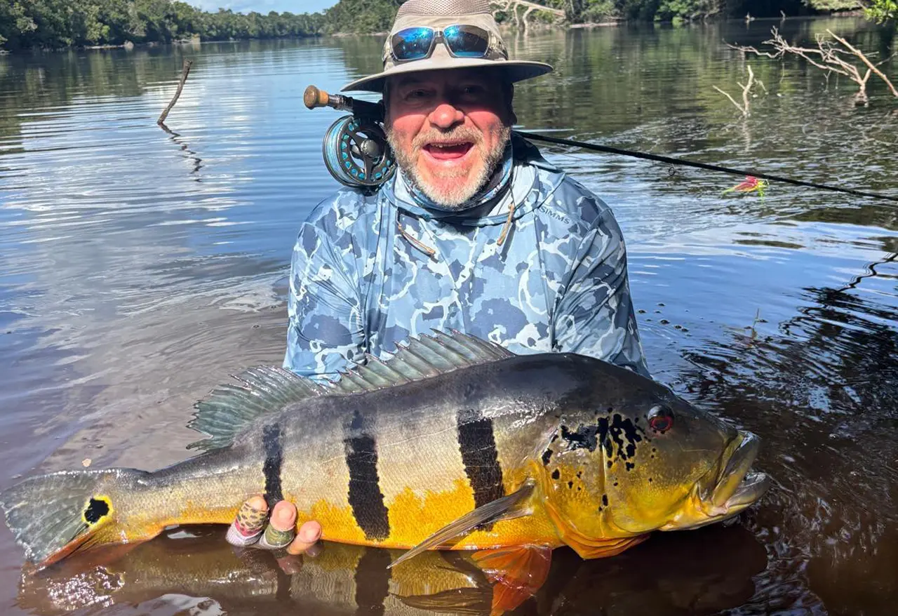 pêche peacock bass Amazonie