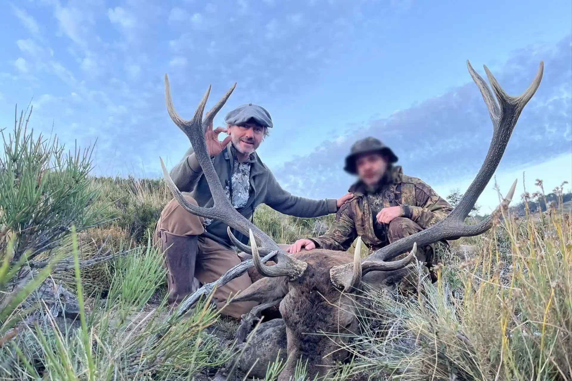 Grand Cerf d'Argentine (mars 2026)