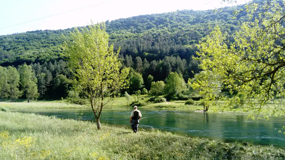 Les chalkstreams des Balkans aux eaux cristallines