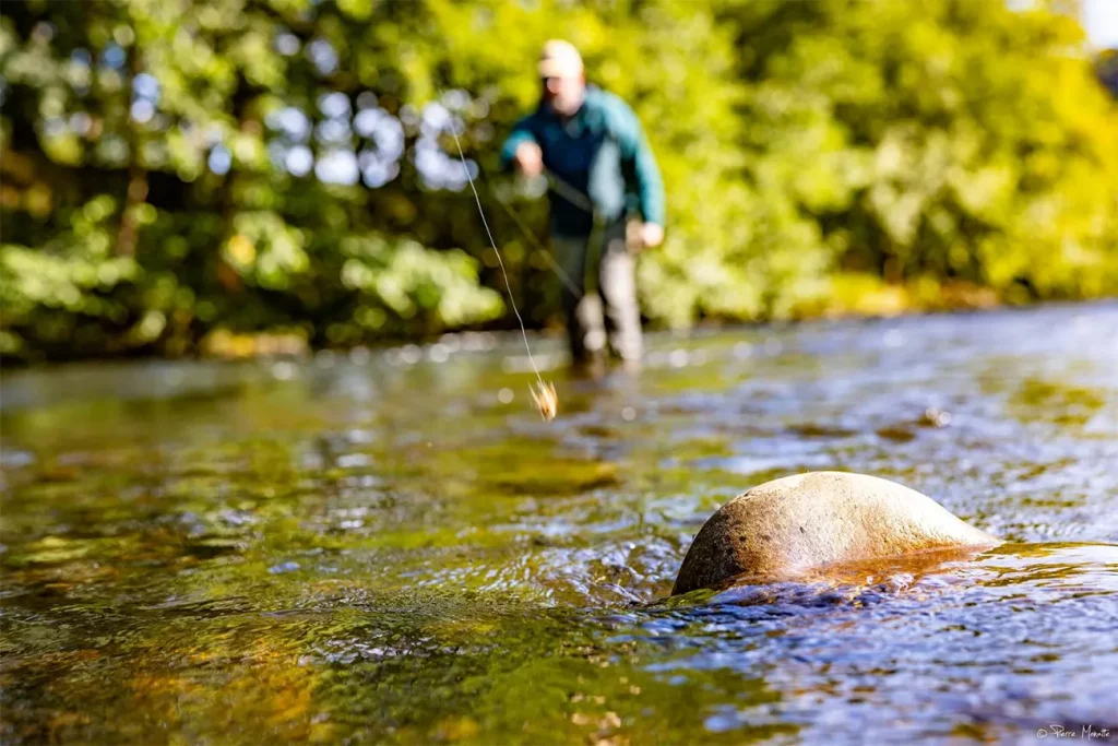 Pêche à la mouche dans une rivière sauvage du Pays de Galles avec Thierry Millot.