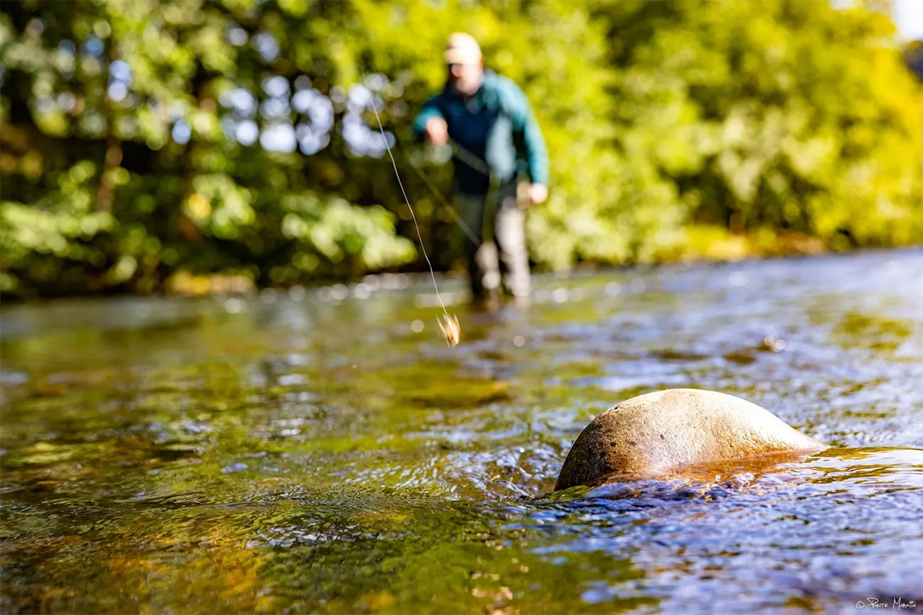 Pêche à la mouche dans une rivière sauvage du Pays de Galles avec Thierry Millot.