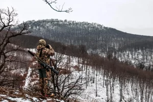 chasse du grand gibier en battue en Slovaquie