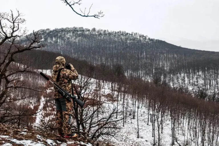 chasse du grand gibier en battue en Slovaquie