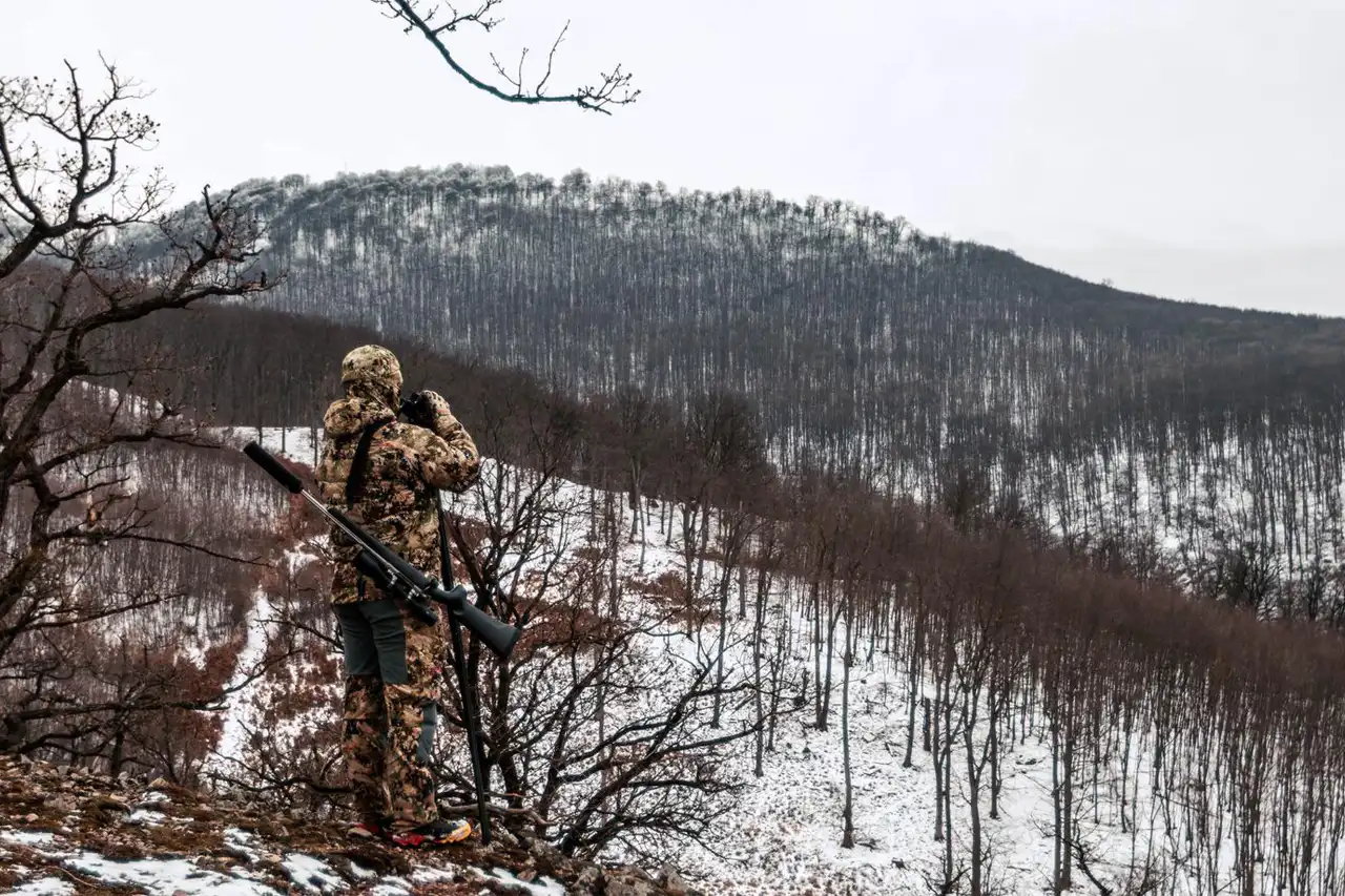 chasse du grand gibier en battue en Slovaquie