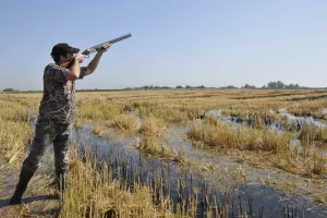 voyage chasse Maroc petit gibier