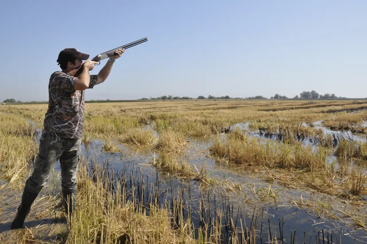 voyage chasse Maroc petit gibier