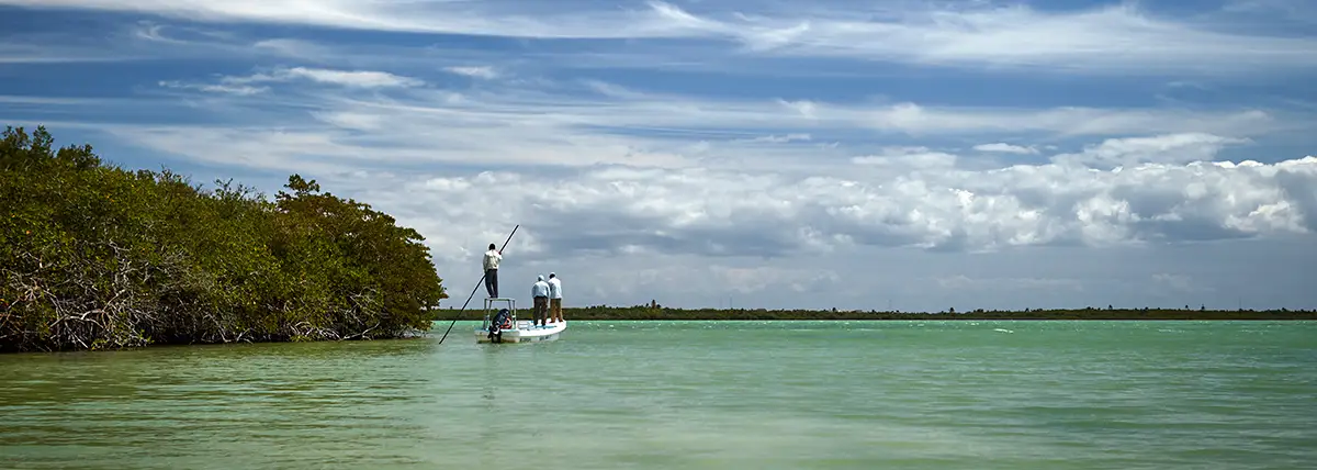 Pêche à la mouche sur les flats du Mexique