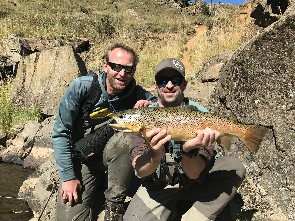 magnifique truite sauvage Patagonie Chilienne