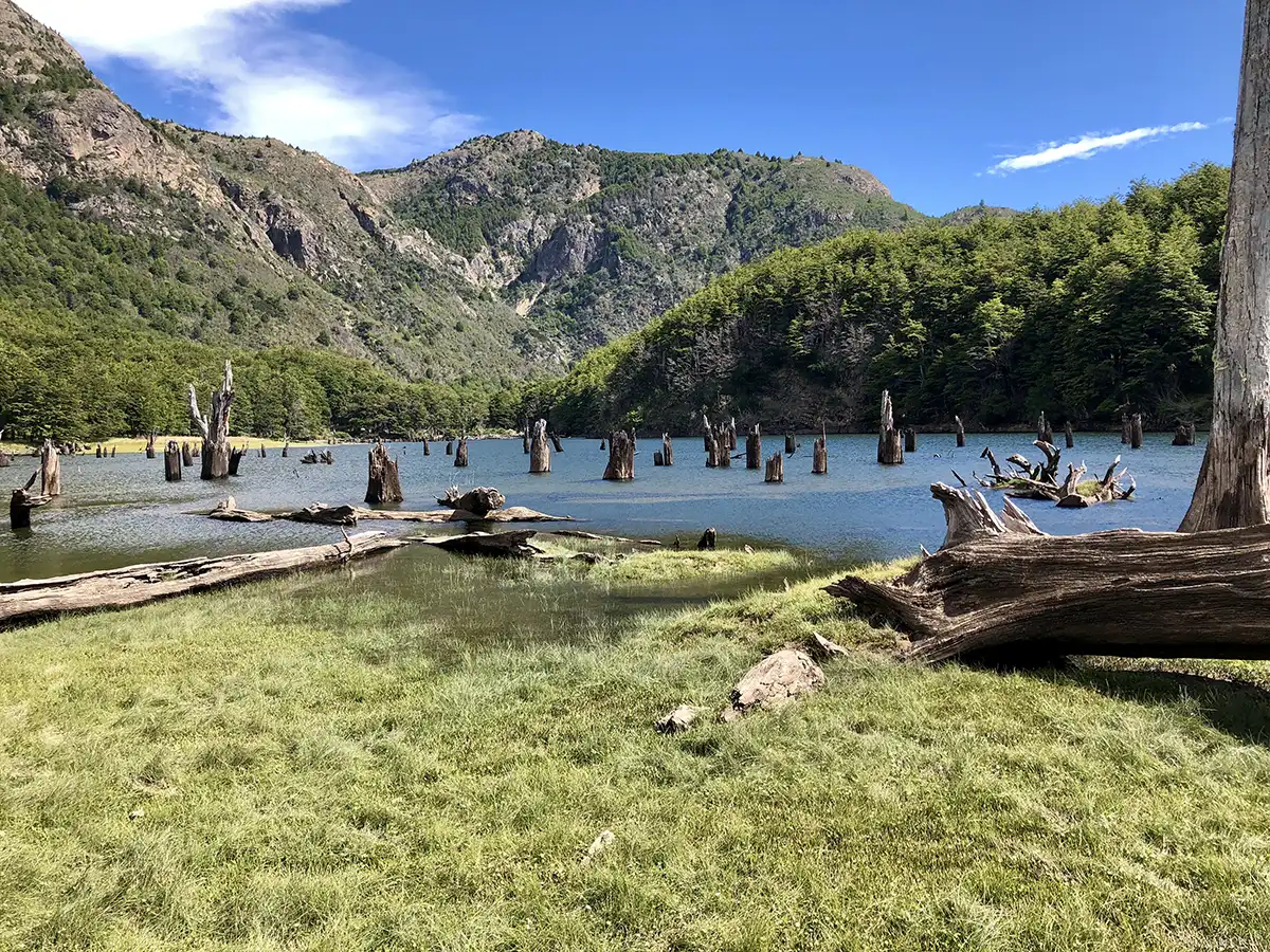 rivière Patagonie Chilienne