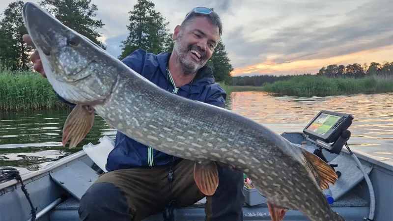 Pêche du brochet en Suède sur le lac Sibbo